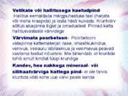 Maalritööde esitlus #31