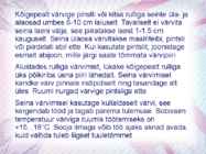Maalritööde esitlus #34
