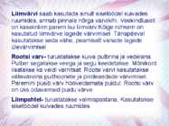Maalritööde esitlus #8