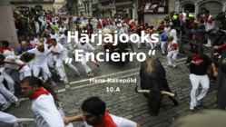 Härjajooks-Encierro-