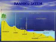 Rannikud #2