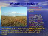 Rannikud #20