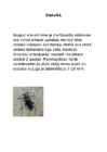Puidu putukkahjustused ja nende likvideerimine #6