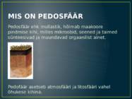 VIIS MAAKERA SFÄÄRI #5