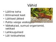 Vähilaadsed #2