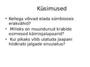Vähilaadsed #7