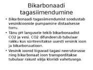Organismi ainevahetus ja happe-leelise seisund #7
