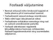 Organismi ainevahetus ja happe-leelise seisund #9