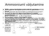 Organismi ainevahetus ja happe-leelise seisund #10
