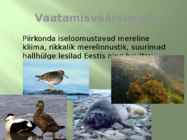 Vilsandi rahvuspark #5