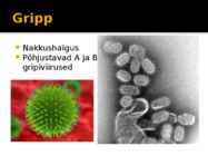 Gripp #2