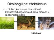 ENERGIAVOOG LÄBI ÖKOSÜSTEEMI #5
