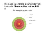 ENERGIAVOOG LÄBI ÖKOSÜSTEEMI #6