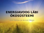 ENERGIAVOOG LÄBI ÖKOSÜSTEEMI