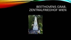 Ludwig van Beethoven #8