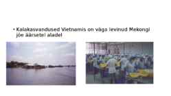 Vesiviljelus #6