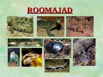 Roomajad