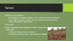 BIOLOOGIA raba #4