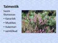 Gröönimaa ehk-Inimeste maa #9