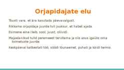 Roomlaste igapäevaelu #2