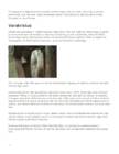 Arhitektuuriajaloo arvestus #11