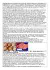 DNA viirused #11