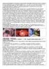 DNA viirused #12
