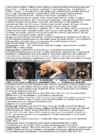 DNA viirused #20