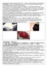 DNA viirused #22