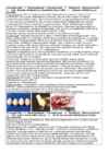 DNA viirused #24