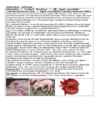 DNA viirused #27