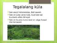 Tegalalang #2