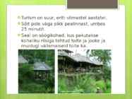 Tegalalang #3