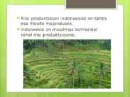 Tegalalang #4