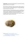 Evolutsiooniõpetus #12