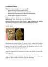 Evolutsiooniõpetus #4