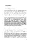 Nimetu #8