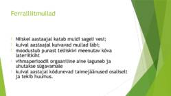 Madagaskar ja Savann #4