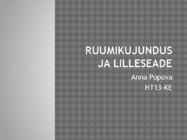 Ruumikujundus ja lilleseade