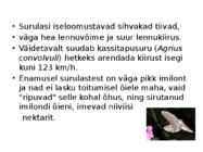 Surulased #4