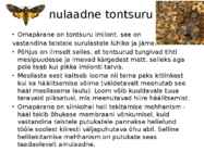 Surulased #5