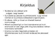Surulased #6