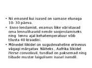 Surulased #7
