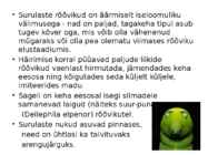 Surulased #10