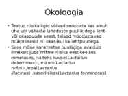 Riisikad #11