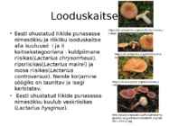 Riisikad #13