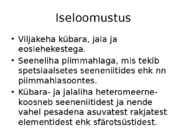 Riisikad #5