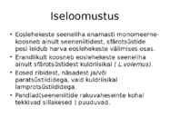 Riisikad #7
