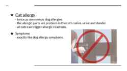 Allergies #12