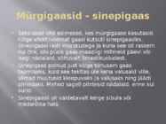 I Maailmasõja uued relvad #6